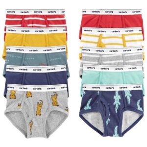 Kit Cuecas Infantis Carter's  modelo Slip multicores